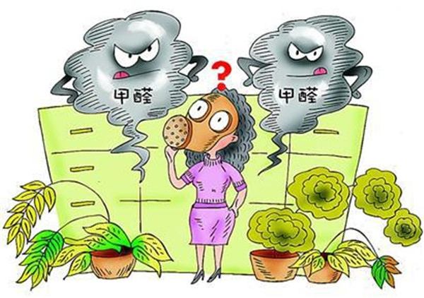 不知道除甲醛多少錢一平米？你就等著被坑吧！
