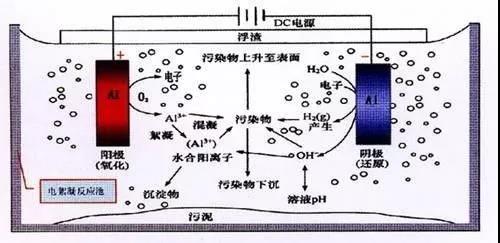 我買了一個(gè)甲醛檢測(cè)儀，吹口氣后發(fā)現(xiàn)原來我才是“地表最強(qiáng)”污染源！