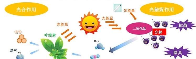 甲醛治理用什么辦法最正確？這三點常見的除甲醛辦法其實是誤區(qū)