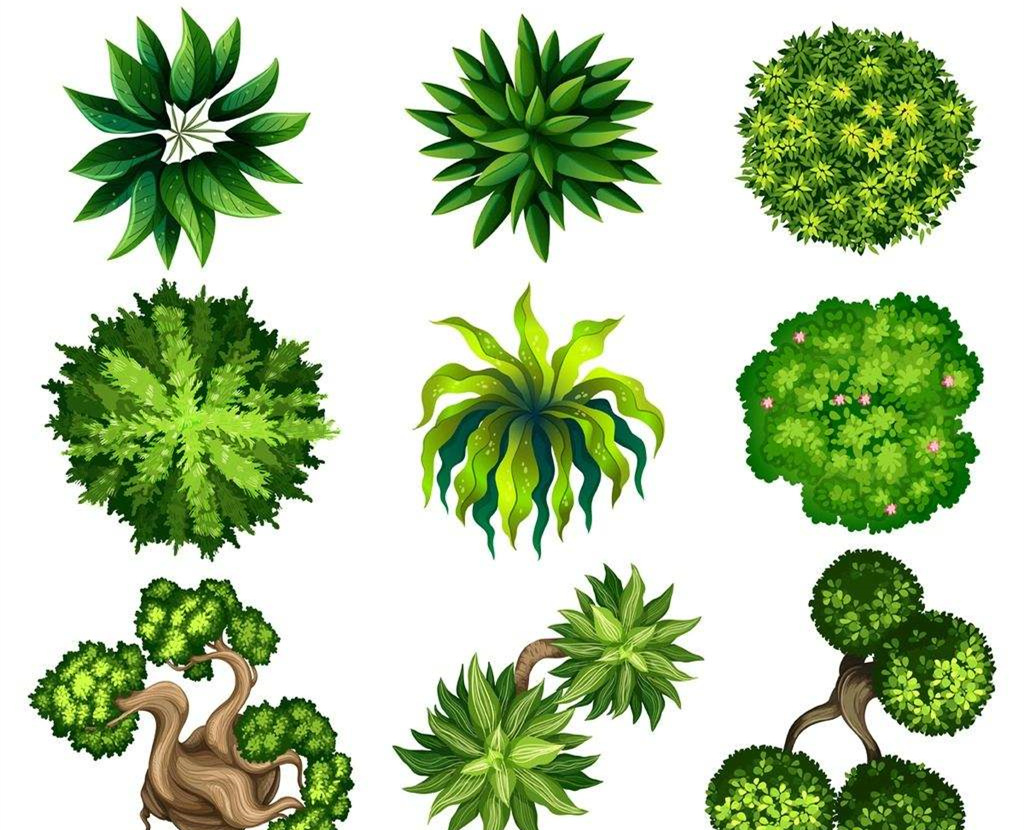 可以?xún)艋覂?nèi)空氣的植物，這二十種您需要好好了解一下！