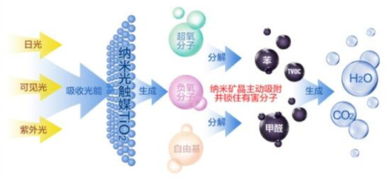 洋蔥可以除甲醛？民間流傳土方法可信嗎？