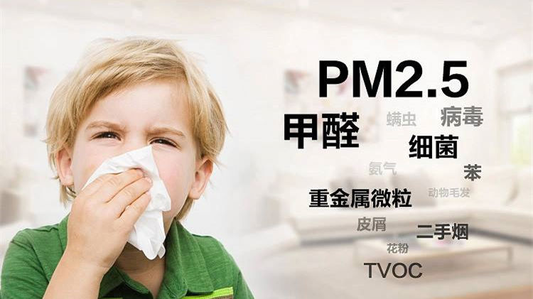誰說二手車沒有甲醛？汽車除甲醛最有效方法告訴您