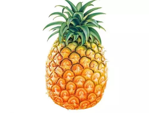 通風(fēng)半年甲醛仍超標(biāo)？甲醛治理要注意