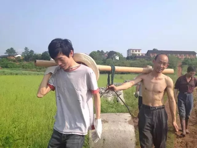 青春是用來(lái)奮斗的，除甲醛的青春最美麗！