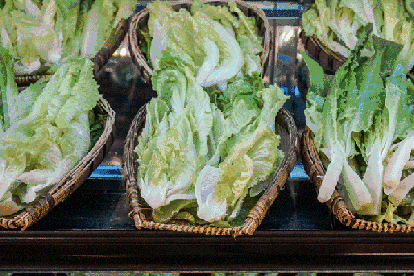 夏至高溫預(yù)警！消暑養(yǎng)生秘笈了解一下？