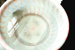 疫苗事件背后：您是否想過(guò)除甲醛產(chǎn)品也存在無(wú)效情況？
