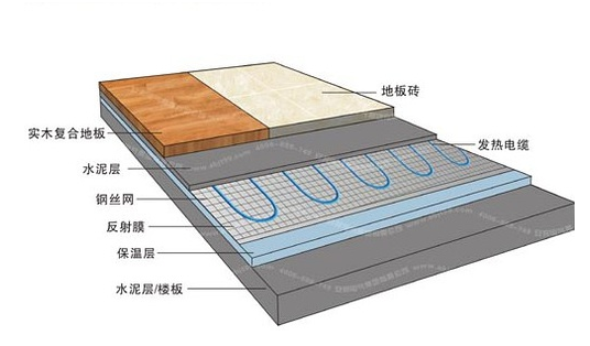 冬季，它們成了甲醛的幫兇