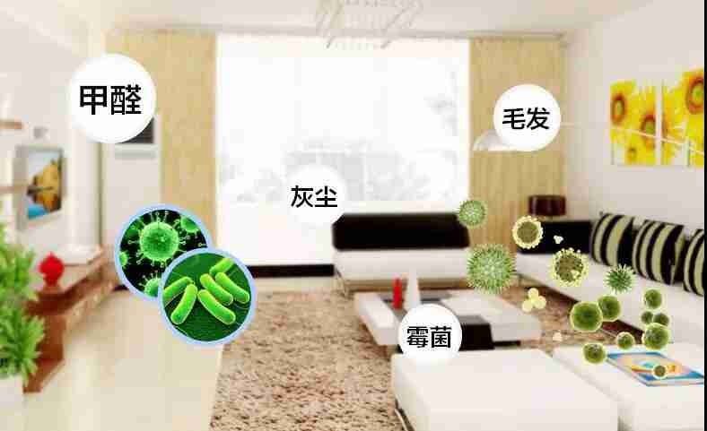 網(wǎng)上的除甲醛好辦法真的有效嗎？原理是什么