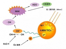 杭州除甲醛的優(yōu)效方法有哪些？