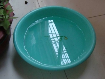 裝修完僅靠?jī)膳枥渌湍艹兹窟@個(gè)說(shuō)法連網(wǎng)友都出來(lái)辟謠！大家別再相信了！