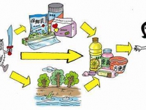 食品中有塑化劑嗎？這些食品中含有大量塑化劑，食用時(shí)一定要注意！