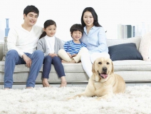 家里甲醛超標怎么辦，受污染影響的人群有哪些
