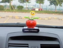 新車(chē)除醛，車(chē)內(nèi)除甲醛什么辦法最好？