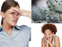 家里有異味怎么辦？科學(xué)除味、治理甲醛就對(duì)了！