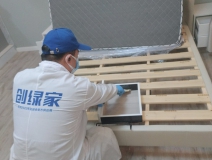 偏方真的能除甲醛嗎？