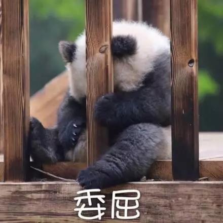 別大意！七大除甲醛“誤區(qū)”，信了你反而會生?。⊥L、綠植、活性炭、熏蒸……你中招了嗎？