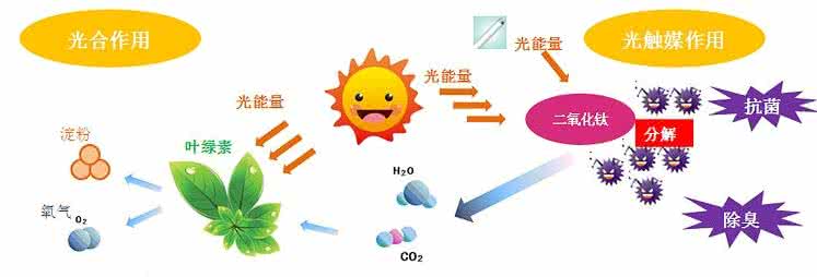 家中甲醛超標(biāo)，什么才是甲醛治理的正確姿勢？