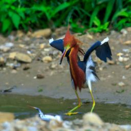 【美容護(hù)膚方法和步驟】探索完美肌膚的秘密！實(shí)用視頻教程分享！