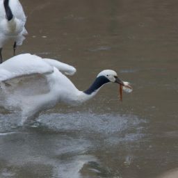 如何正確護膚，讓你擁有美麗的面容
