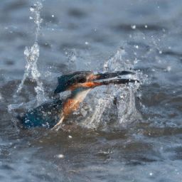 美容護膚步驟描述準確的是如何正確進行美容護膚