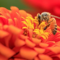 蜂蜜美容護膚的8個方法及蜂蜜每天涂臉15天后效果