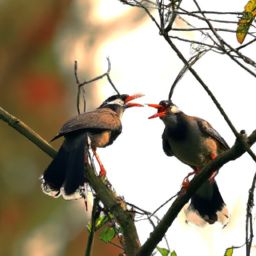 美容護膚話術(shù)：擁有青春明眸，輕松呵護美麗肌膚