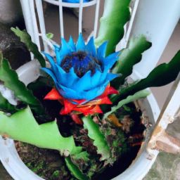 維生素D：美容護(hù)膚的秘密武器